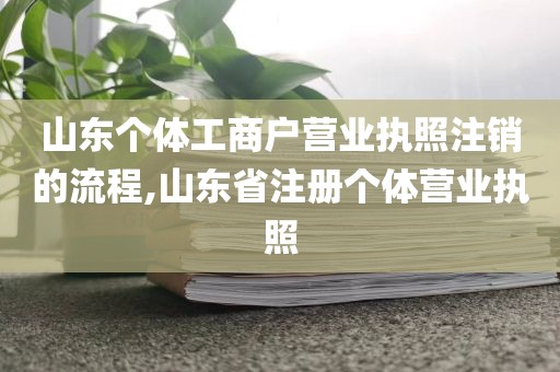 山东个体工商户营业执照注销的流程,山东省注册个体营业执照