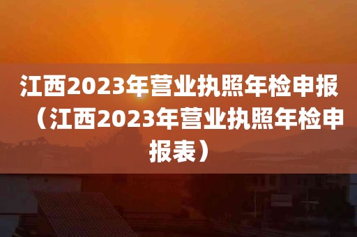 江西2023年营业执照年检申报（江西2023年营业执照年检申报表）