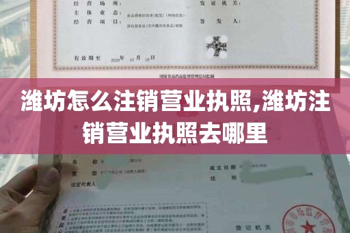 潍坊怎么注销营业执照,潍坊注销营业执照去哪里