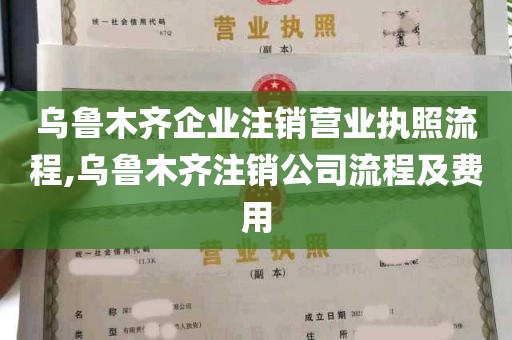 乌鲁木齐企业注销营业执照流程,乌鲁木齐注销公司流程及费用