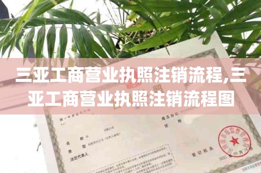 三亚工商营业执照注销流程,三亚工商营业执照注销流程图