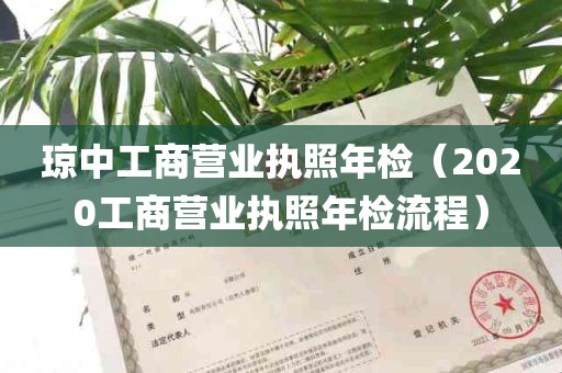 琼中工商营业执照年检（2020工商营业执照年检流程）