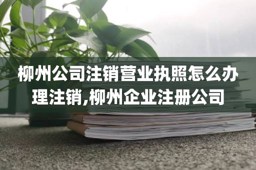 柳州公司注销营业执照怎么办理注销,柳州企业注册公司