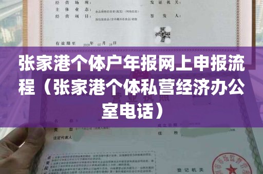 张家港个体户年报网上申报流程（张家港个体私营经济办公室电话）