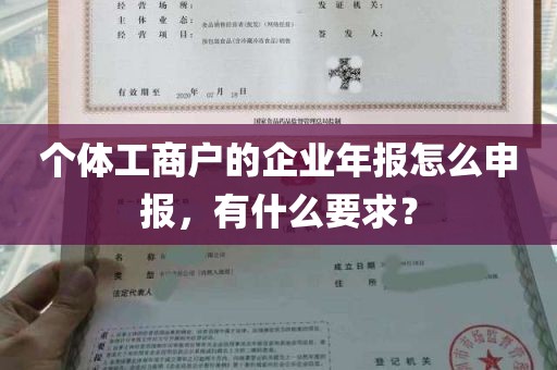 个体工商户的企业年报怎么申报，有什么要求？