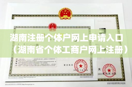 湖南注册个体户网上申请入口（湖南省个体工商户网上注册）