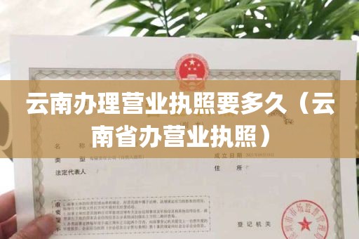 云南办理营业执照要多久（云南省办营业执照）