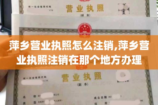 萍乡营业执照怎么注销,萍乡营业执照注销在那个地方办理