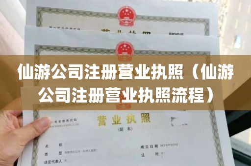 仙游公司注册营业执照（仙游公司注册营业执照流程）