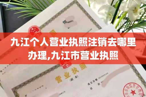 九江个人营业执照注销去哪里办理,九江市营业执照