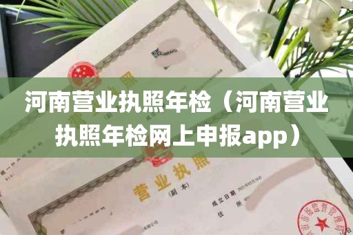河南营业执照年检（河南营业执照年检网上申报app）