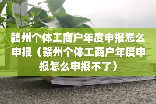 赣州个体工商户年度申报怎么申报（赣州个体工商户年度申报怎么申报不了）