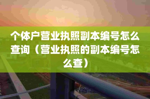 个体户营业执照副本编号怎么查询（营业执照的副本编号怎么查）