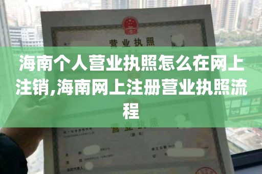 海南个人营业执照怎么在网上注销,海南网上注册营业执照流程