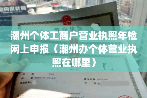 潮州个体工商户营业执照年检网上申报（潮州办个体营业执照在哪里）