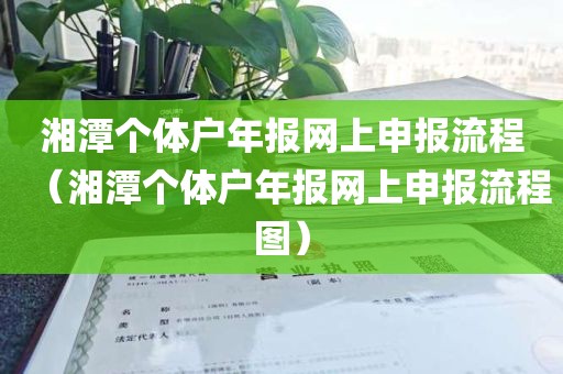 湘潭个体户年报网上申报流程（湘潭个体户年报网上申报流程图）