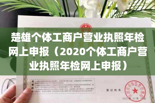 楚雄个体工商户营业执照年检网上申报（2020个体工商户营业执照年检网上申报）