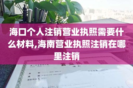 海口个人注销营业执照需要什么材料,海南营业执照注销在哪里注销