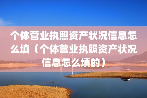 个体营业执照资产状况信息怎么填（个体营业执照资产状况信息怎么填的）