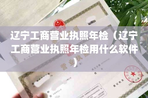 辽宁工商营业执照年检（辽宁工商营业执照年检用什么软件）