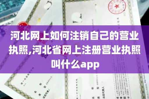 河北网上如何注销自己的营业执照,河北省网上注册营业执照叫什么app