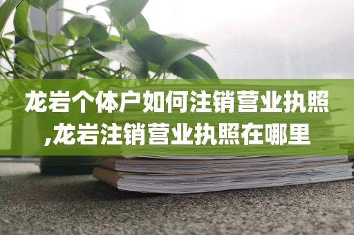 龙岩个体户如何注销营业执照,龙岩注销营业执照在哪里