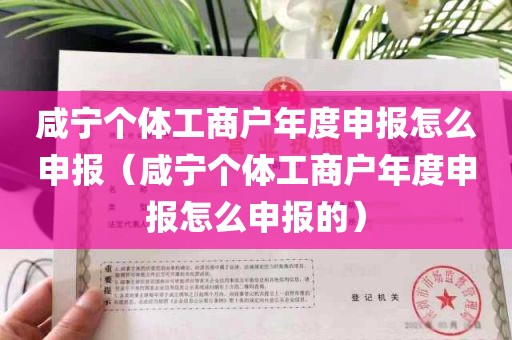 咸宁个体工商户年度申报怎么申报（咸宁个体工商户年度申报怎么申报的）