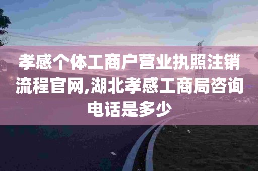 孝感个体工商户营业执照注销流程官网,湖北孝感工商局咨询电话是多少