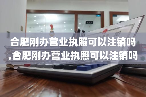 合肥刚办营业执照可以注销吗,合肥刚办营业执照可以注销吗