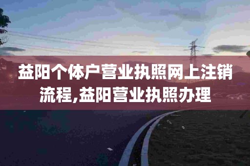 益阳个体户营业执照网上注销流程,益阳营业执照办理