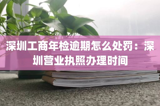 深圳工商年检逾期怎么处罚：深圳营业执照办理时间