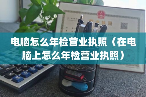 电脑怎么年检营业执照（在电脑上怎么年检营业执照）