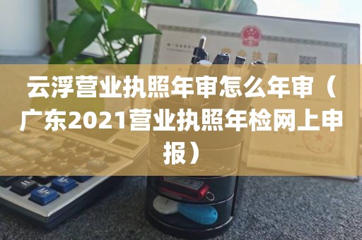 云浮营业执照年审怎么年审（广东2021营业执照年检网上申报）