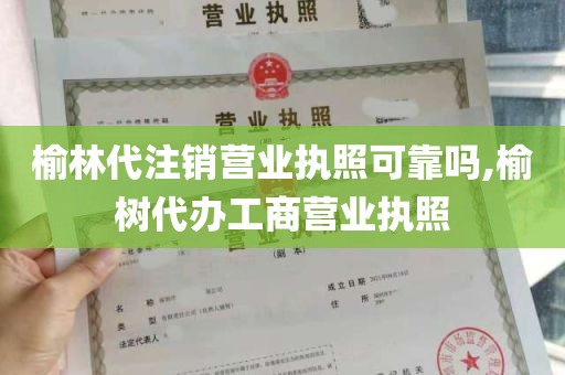 榆林代注销营业执照可靠吗,榆树代办工商营业执照