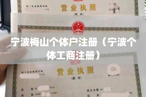 宁波梅山个体户注册（宁波个体工商注册）