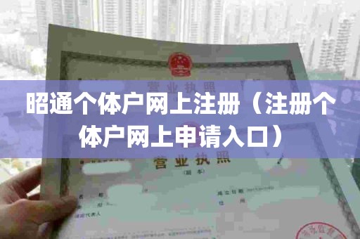 昭通个体户网上注册（注册个体户网上申请入口）