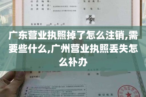 广东营业执照掉了怎么注销,需要些什么,广州营业执照丢失怎么补办