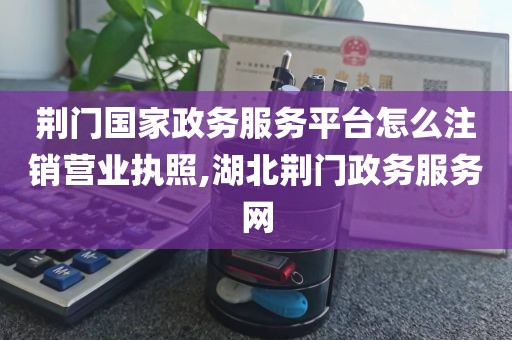 荆门国家政务服务平台怎么注销营业执照,湖北荆门政务服务网