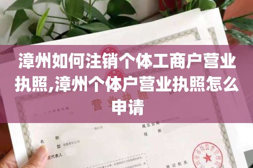 漳州如何注销个体工商户营业执照,漳州个体户营业执照怎么申请