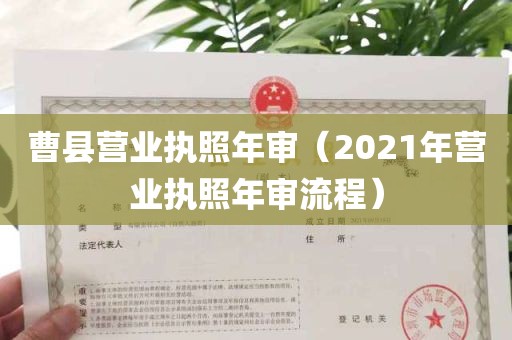 曹县营业执照年审（2021年营业执照年审流程）