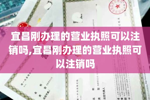 宜昌刚办理的营业执照可以注销吗,宜昌刚办理的营业执照可以注销吗