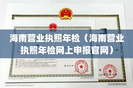 海南营业执照年检（海南营业执照年检网上申报官网）