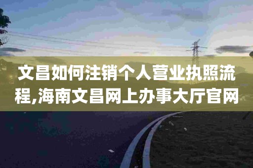 文昌如何注销个人营业执照流程,海南文昌网上办事大厅官网