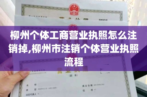 柳州个体工商营业执照怎么注销掉,柳州市注销个体营业执照流程