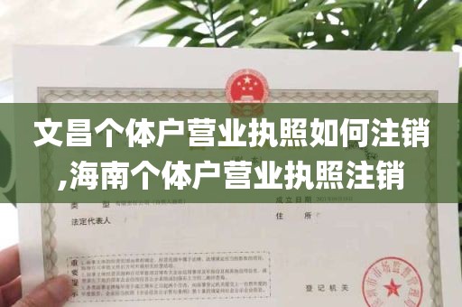 文昌个体户营业执照如何注销,海南个体户营业执照注销