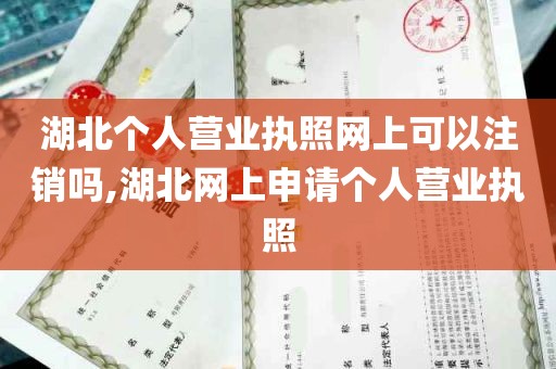 湖北个人营业执照网上可以注销吗,湖北网上申请个人营业执照