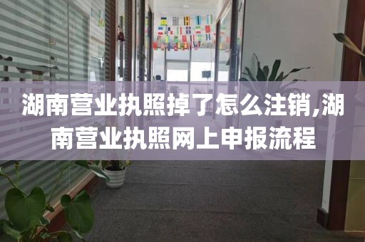 湖南营业执照掉了怎么注销,湖南营业执照网上申报流程