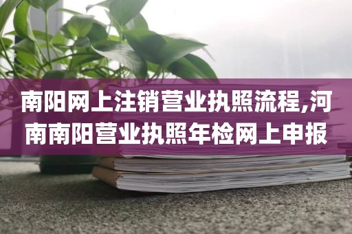 南阳网上注销营业执照流程,河南南阳营业执照年检网上申报