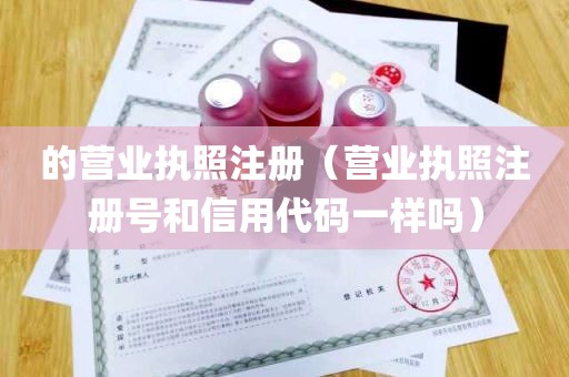 的营业执照注册（营业执照注册号和信用代码一样吗）