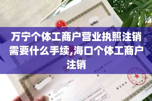 万宁个体工商户营业执照注销需要什么手续,海口个体工商户注销